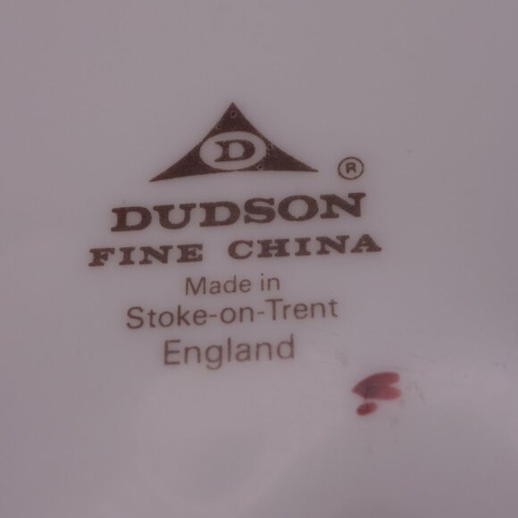 DUDSON FINE CHINA Made in Stoke-On-Trent England Plate with Red Rim & Inner Rim - Picture 4 of 9